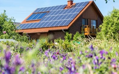 How to Choose the Right Solar Panels for Your Roof